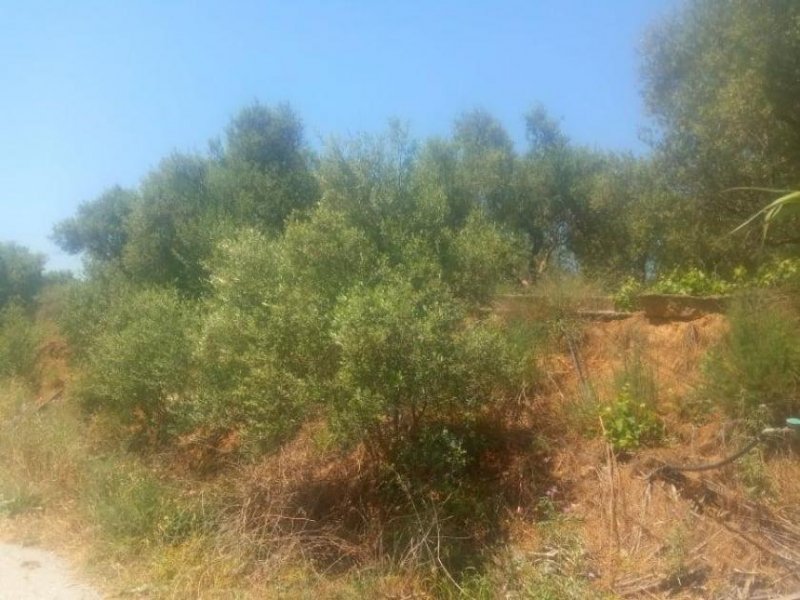 Maleme Kreta, Maleme: Grundstück mit Meerblick innerhalb des Stadtplans zu verkaufen Grundstück kaufen